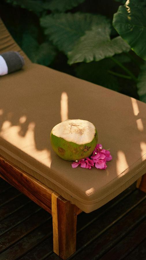 Aldea Paraiso - Adults Only - Boutique Hotel بويرتو إسكونديدو المظهر الخارجي الصورة